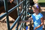 IMG_0951