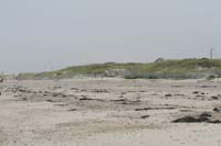 IMG_1317