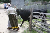 IMG_1414